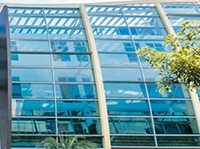 Curtain Wall